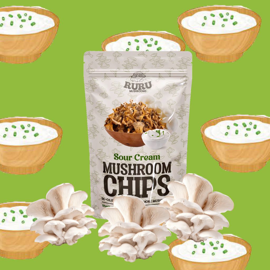 mushroom snack, healthy, non gmo, Natural, flavour, food, souvenir, pasalubong, tasty, lami, delicious, buy snack online, Sourcream, onion, spicy