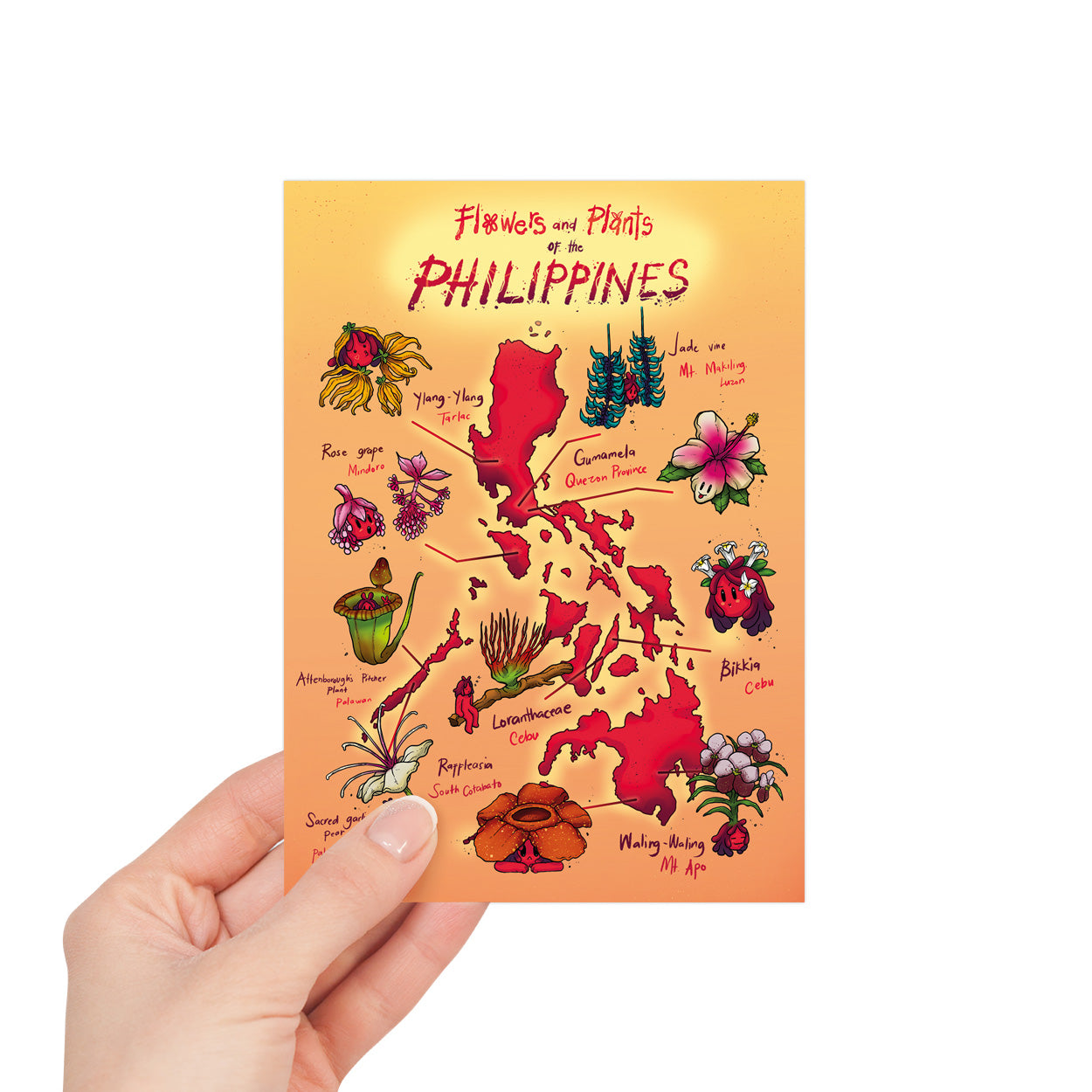 Flowers Filipino Flora Cil Flores Dumaguete city graphic artist map project exhibit Negros Oriental Pinspired Art Souvenirs Wall Art Decoration Pinta PH Maps Philippines Tourist Gift Hotel Hostel Resort gift idea snailmail postcrossing PH post PHL Post Office actual size