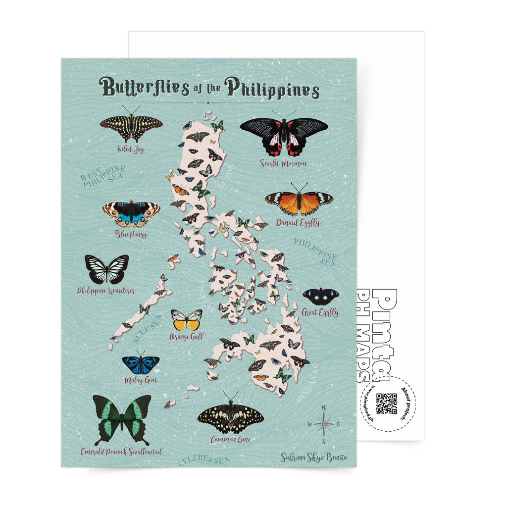 Filipino artist graphic butterfly species local pinoy coloured decoration decor idea tourist map art print artwork collection cute actual size post office postcrossing PH snailmail