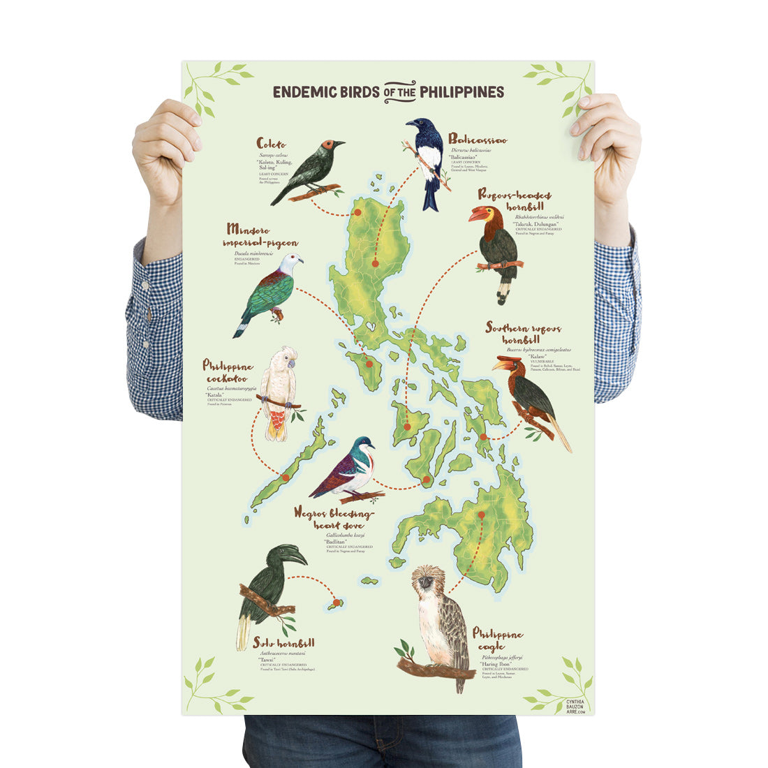 Endemic Birds of the Philippines Poster by Cynthia Bauzon-Arre