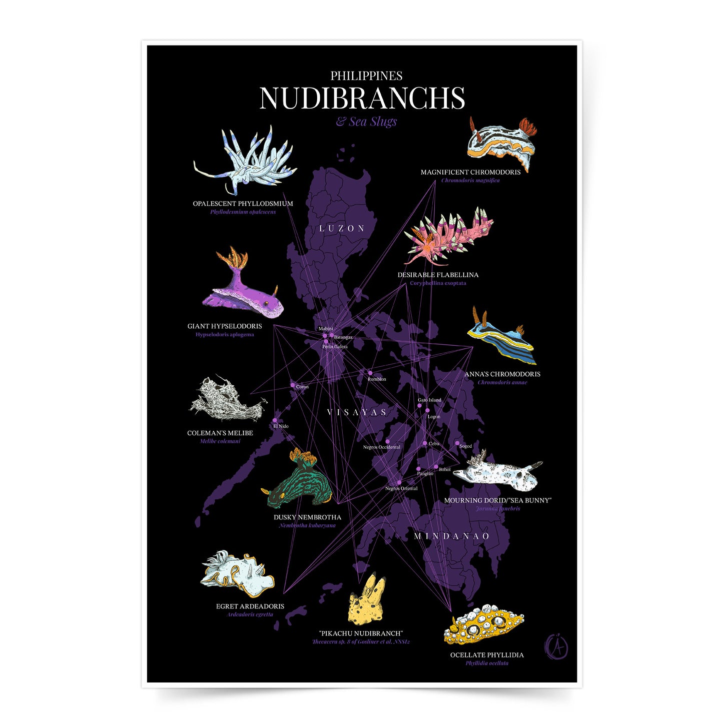 Philippines Nudibranchs and Sea Slugs Map Art Print by Angelo Delos Santos