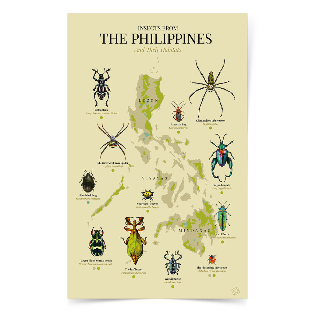 insect bug spider Luzon Visayas Mindanao Islands Map PH Habitat Coleoptera Giant golden orb weaver St. Andrew's Cross Spider Rice black bug Assassin Bug Spiny orb-weaver Sagra buqueti Green Black Scarab beetle The leaf insect Weevil Beetle Jewel Beetle The Philippine ladybeetle  The leaf insect Green Black Scarab beetle Home decor decoration print Filipino artist high quality paper