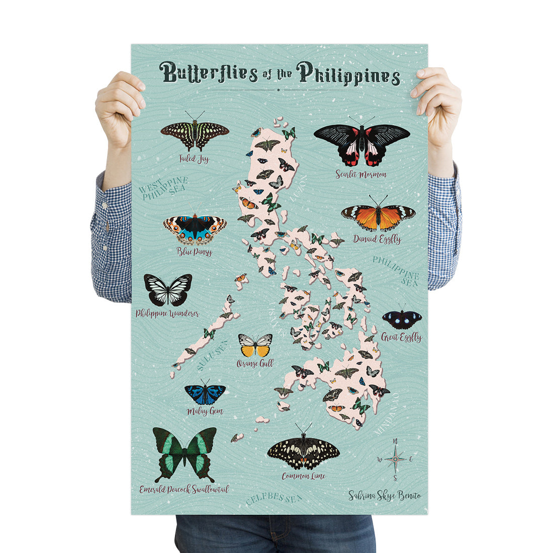 Filipino artist graphic butterfly species local pinoy coloured wall decoration decor idea tourist map art print artwork collection cute actual size