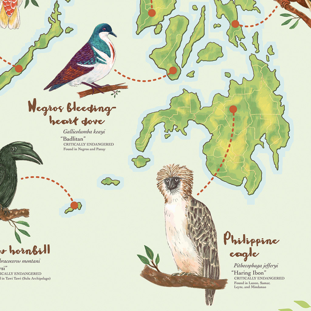 Endemic Birds of the Philippines Poster by Cynthia Bauzon-Arre