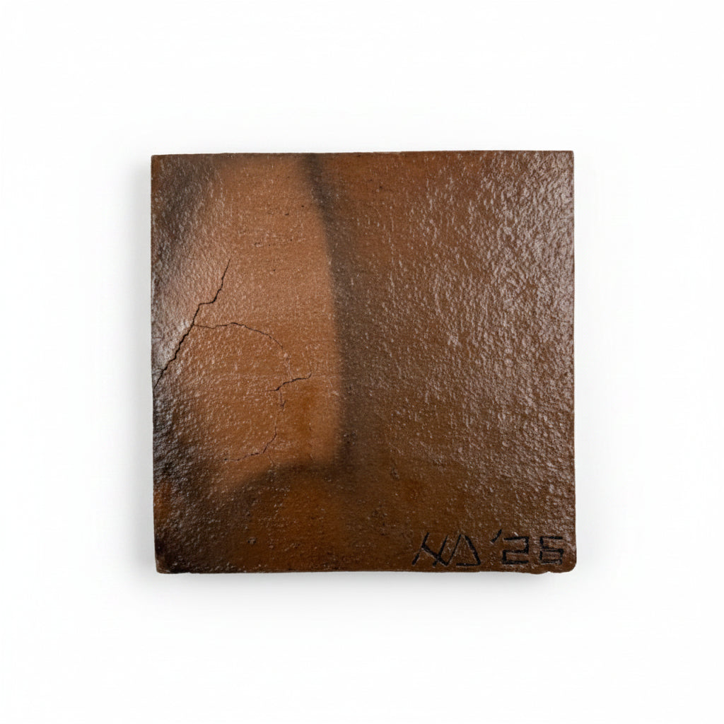 Micra, Dumaguete city, Dumaguete artist, size 4x4, terracotta, brown, water buffalo, gumamela, fish, Earth texture 