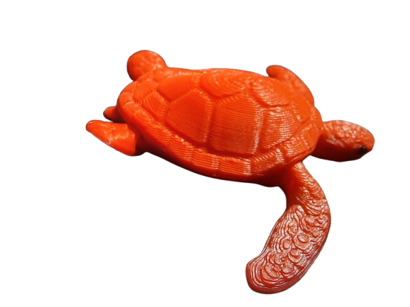 Mini Baby Sea Turtle Magnet by 7Art