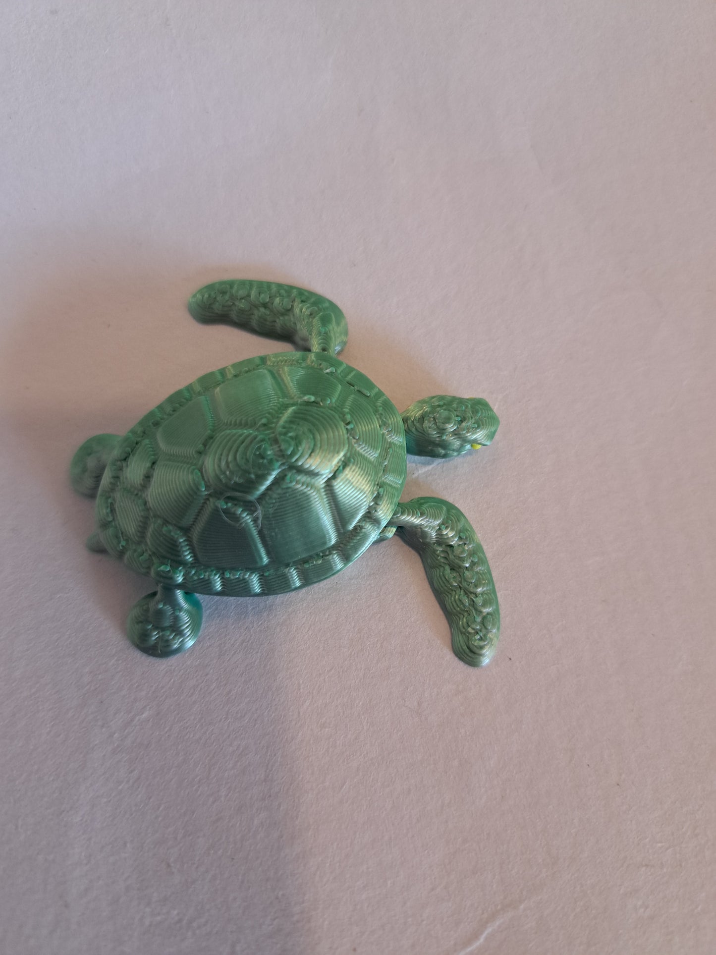 Newborn Baby Sea Turtle Magnet by 7Art