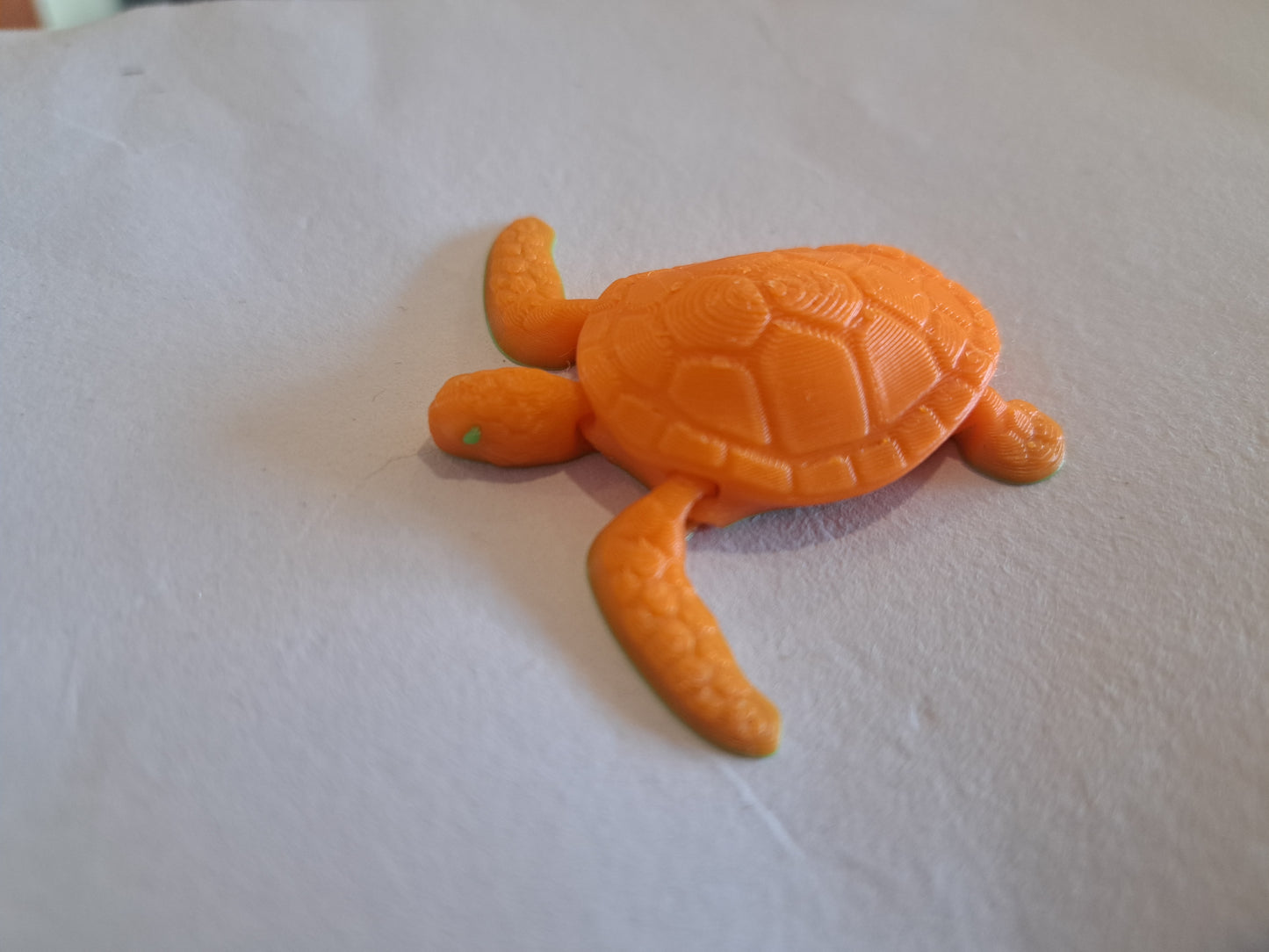 Tiny Baby Sea Turtle Magnet by 7Art