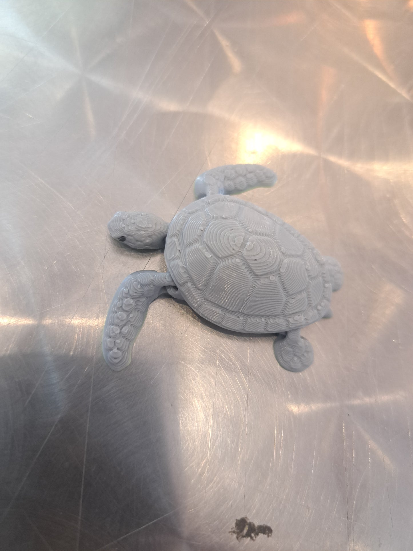 Newborn Baby Sea Turtle Magnet by 7Art