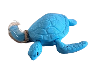 Newborn Baby Sea Turtle Magnet by 7Art