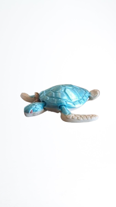 Newborn Baby Sea Turtle Magnet by 7Art