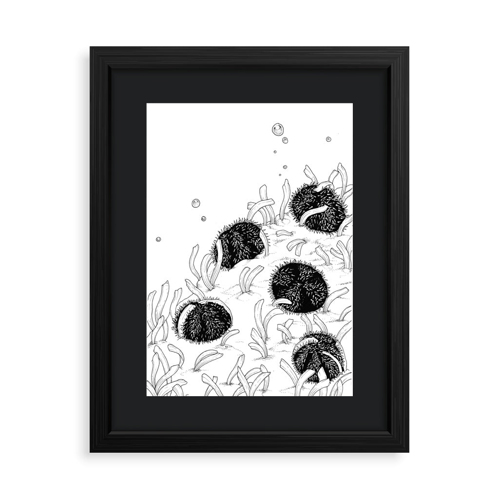 seagrass protect ocean philippines sea original copy dugong art pen and ink drawing artwork underwater space coral black and white wall decor framed artist proof limited edition 