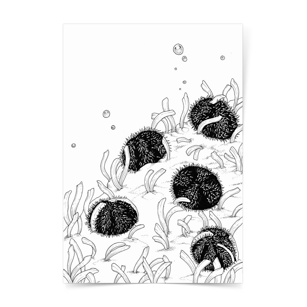 seagrass protect ocean philippines sea original copy dugong art pen and ink drawing artwork underwater space coral black and white wall decor framed artist proof limited edition 