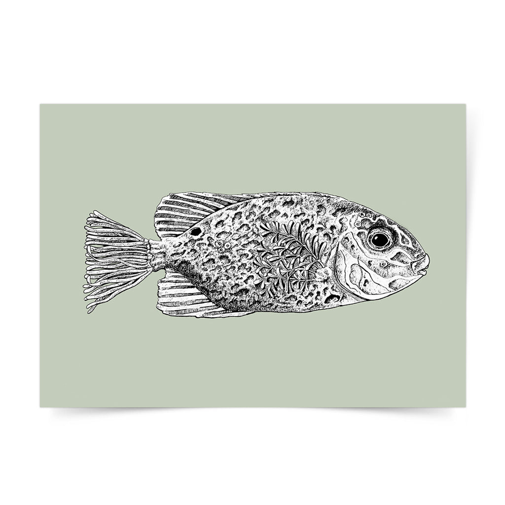 Angelo Delos Santos의 Rabbitfish 아트 프린트