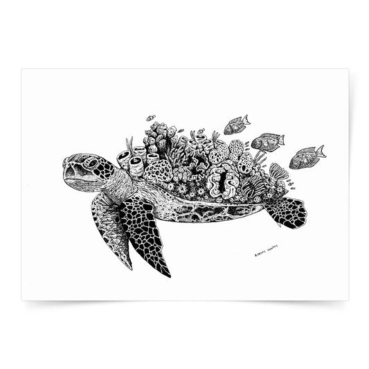 green sea turtle dive diving wall decor artwork original copy Dumaguete city artist pen and ink black white
