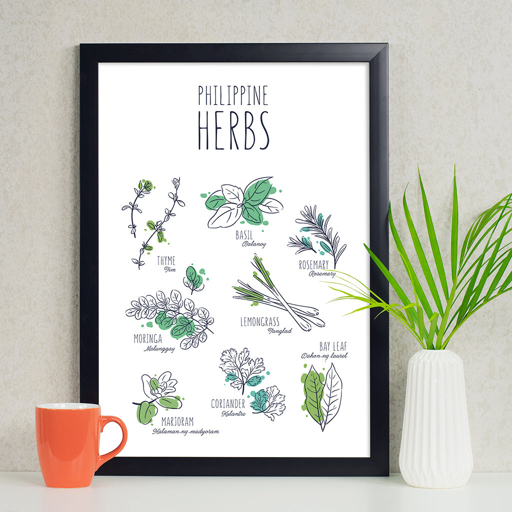 Philippine Herbs Thyme Bazil Lemongrass Rosemary Moringa Malunggay Marjoram Coriander Bay Leaf kitchen decor postcrossing PHL Post Filipino local minimalistic plants postcards collectibles gift idea flavours Philippines framed framing