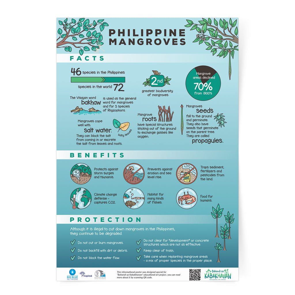 mangrove protection educational poster wall art free animals bakhaw bisaya Negros Oriental protection 