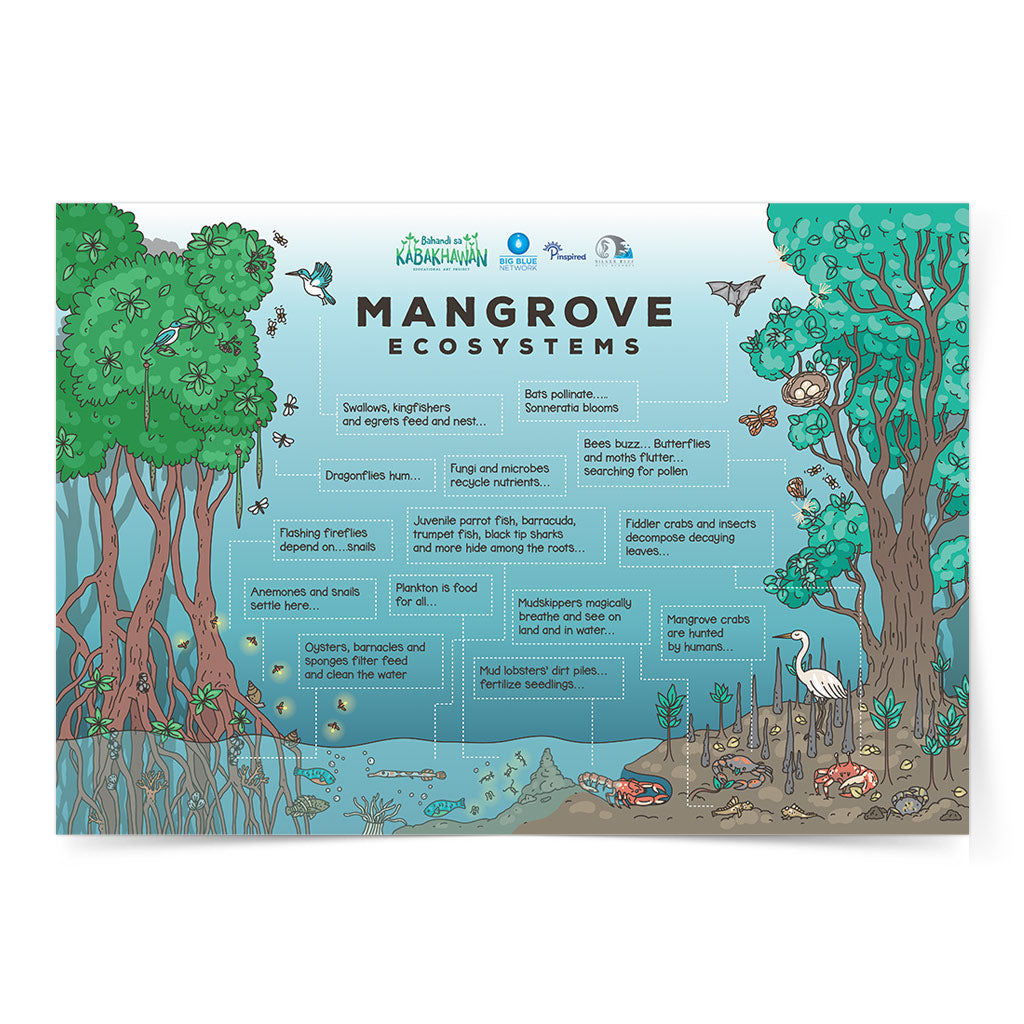 mangrove protection educational poster wall art free animals bakhaw bisaya Negros Oriental protection 