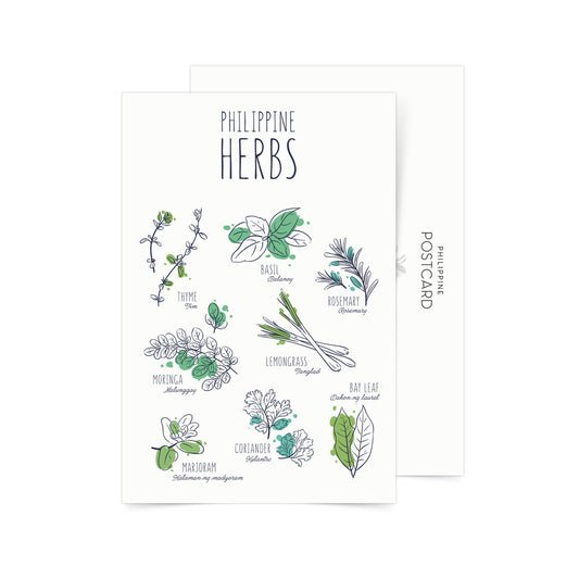 Philippine Herbs Postcard