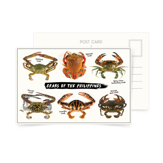 photo postcard philippines crab
