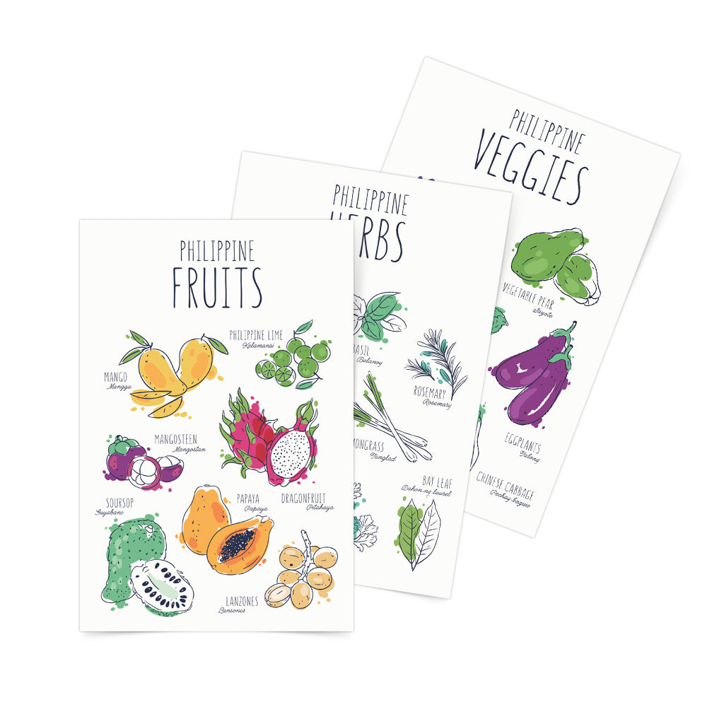 Philippine Fruits Veggies and Herbs Postcard Set Of 3